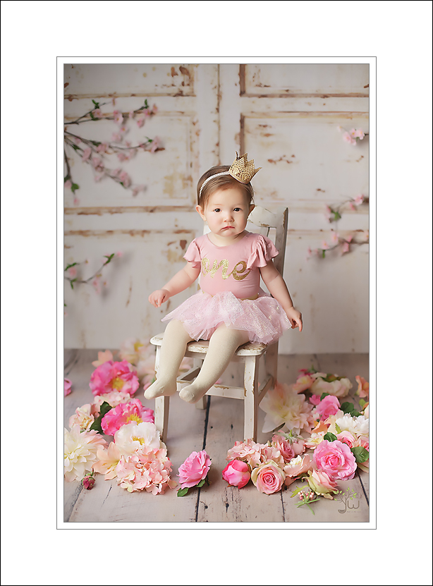 Gig Harbor baby photographer
